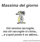 MASSIMA del GIORNO