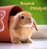 PASQUA