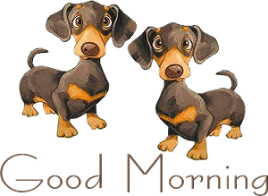 Good Morning