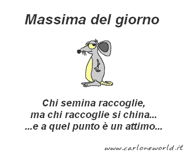 massima del giorno