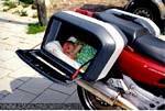 Cose strane dal Mondo