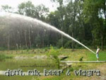 foto divertente: effetto viagra