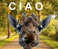 clicca qui per scaricare questa PPS