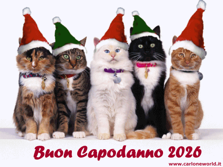 Auguri di buon Capodanno 2026 da simpatici gattoni