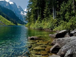 Cartolina Montagna Fiume