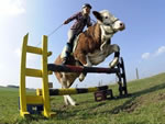 Salto con Mucca
