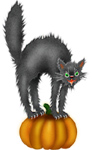 gatto nero halloween