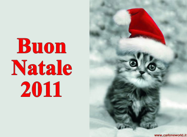 gattino-natale-2011