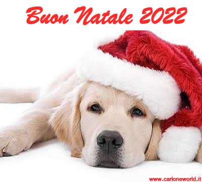 Buon Natale 2022 con tenero cane