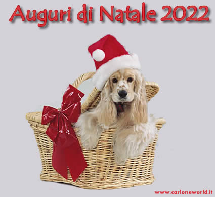 Auguri di Natale 2022 con dolce cagnolino