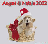 Auguri di Natale 2022 con cagnolino