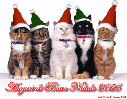 Auguri di Natale 2025 con bellissimi e simpatici gatti