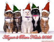 Buon Natale 2025 con dolci gattini