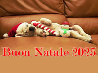 Buon Natale 2025