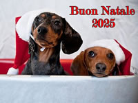 Buon Natale 2025