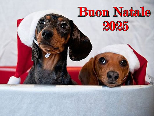 Immagine di Natale: Natale 2025