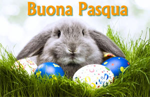 coniglio-buona-pasqua.jpg