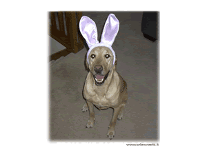 Foto di Pasqua 2025