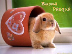 Cartolina Auguri Buona Pasqua