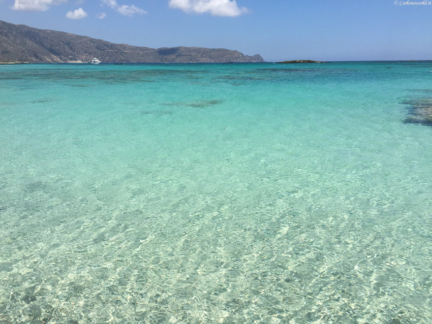 Foto Mare: spiaggia di Elafonissi, Creta, Grecia