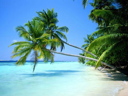 Foto Spiaggia Bellissima