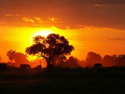 Foto Tramonto Africa