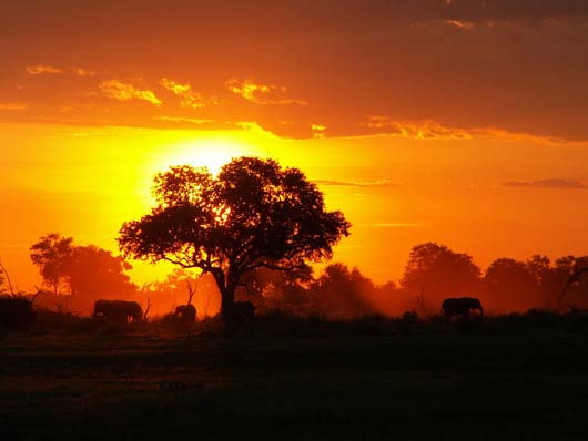 Tramonto in Africa