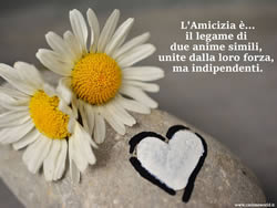 Frasi Amicizia