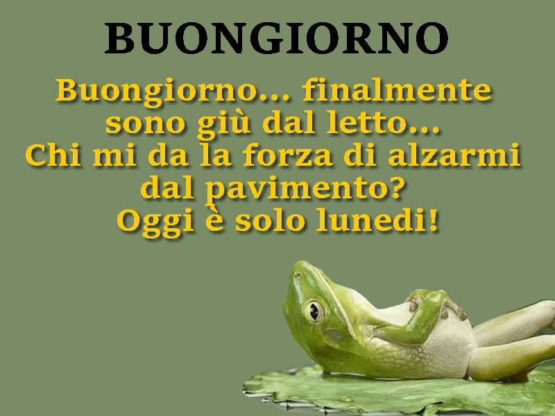 Frasi divertenti Buongiorno