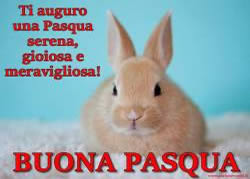 bella immagine Auguri Pasqua