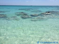 Mare spiaggia Elafonisi Creta