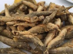 Pesci fritti Creta