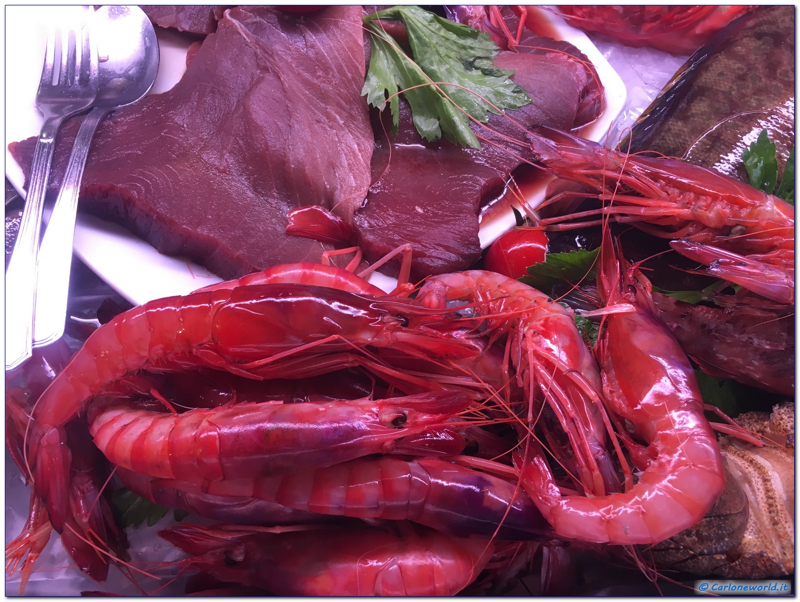 Gamberi rossi di Gallipoli
