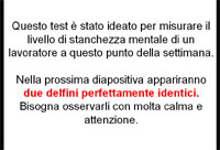 clicca qui per scaricare questa PPS