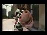 animazione divertente: Muuuuuhhhhh
