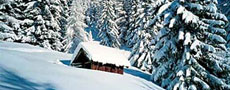 Speciale Viaggi Natale: offerte last minute!